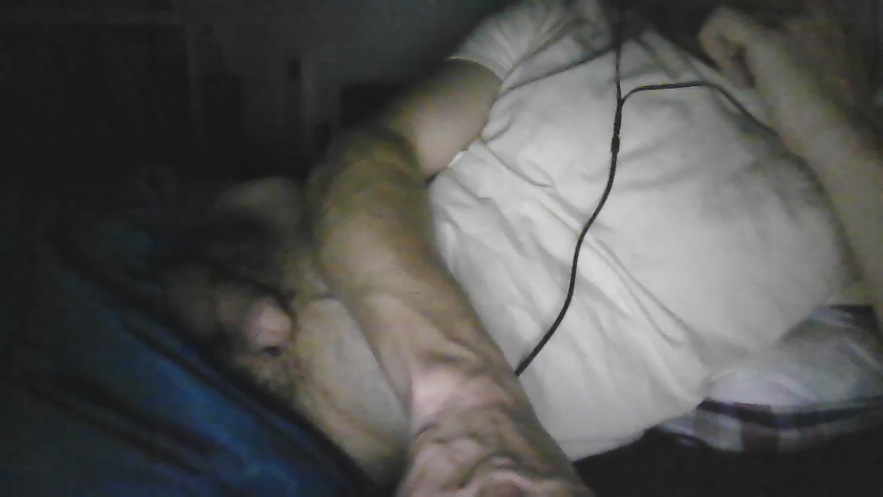 Watch CoupLikeBIGCOCK live on cam on Cam4