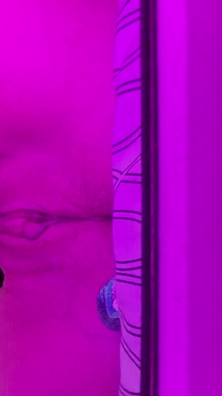 Isidoraxxvv live cam and statistics on UnifiedCams