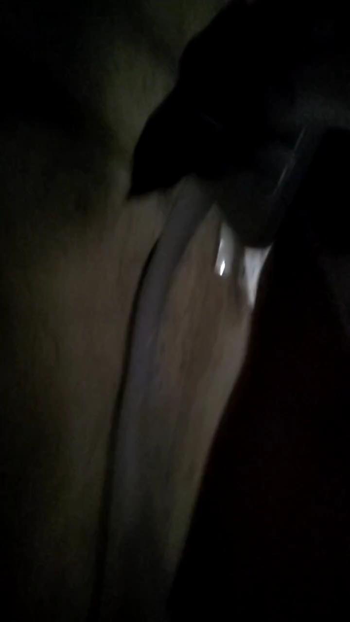  Silva_barbosas2 chat room