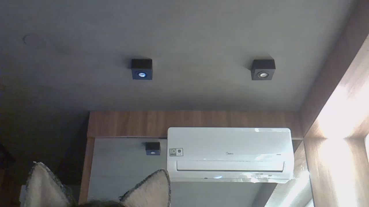 Sex chat gratuit in direct cu SkinnyKittenCam pe Cam4