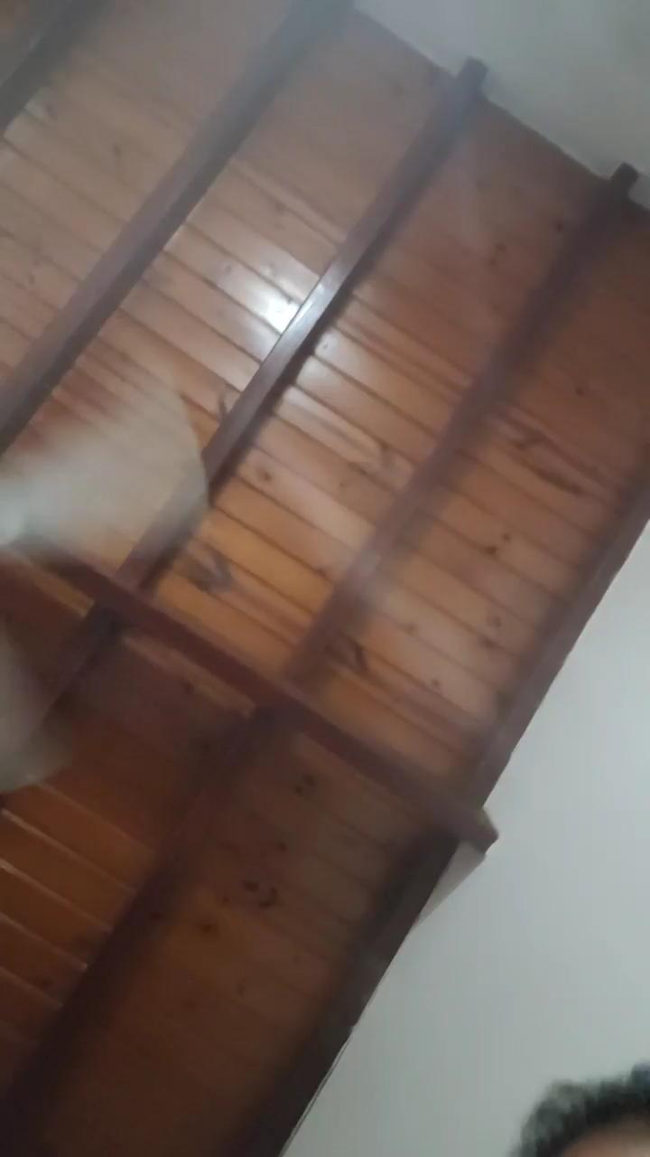 https://snapshots.xcdnpro.com/snapshots/elsexyboy1991?s=hEGmS5RN3oucAb4scL0nzT6IOZOs4CAa/fD5ddYxO1Q= Live Cam4 Model