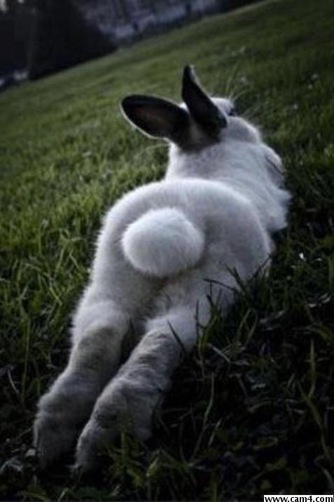 0bunny0bunny?s=5myfzhs2hnph7p2ghwbzfz5nd+fapfkmjfppxastc7e=