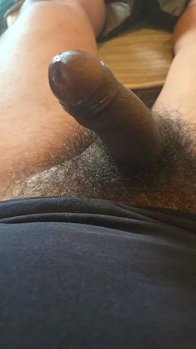 15963215roy live cam on Cam4