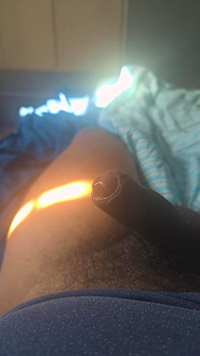 15963215roy live cam on Cam4