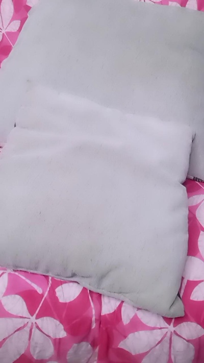 18_doll live cam on Cam4