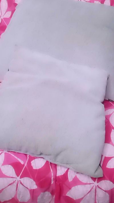 18_doll live cam on Cam4