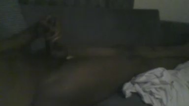 1Dingaling live cam on Cam4