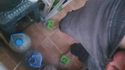 20cmonlygirls live cam on Cam4