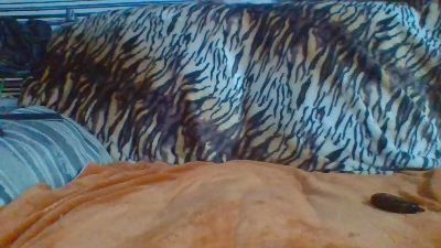 21solo live cam on Cam4