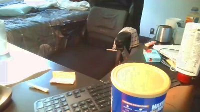 2connect420 live cam on Cam4