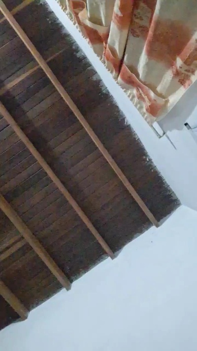 400Paisax live cam on Cam4