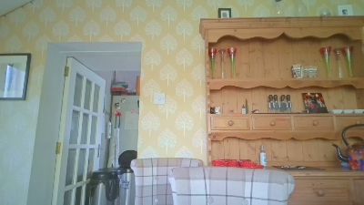 4skinscot live cam on Cam4