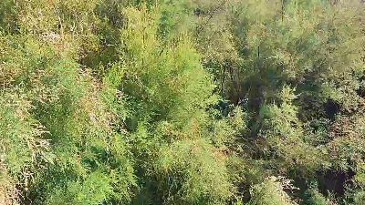 6Q87 live cam on Cam4