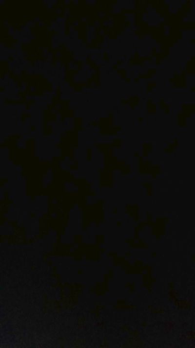 6speedio live cam on Cam4