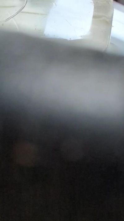 88human live cam on Cam4
