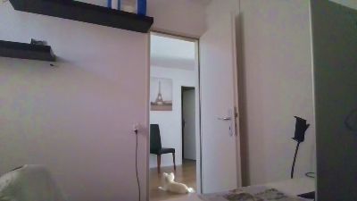 ALPHA_HUNK live cam on Cam4