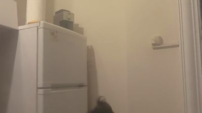ANDREX1X live cam on Cam4