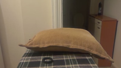 ANDREX1X live cam on Cam4