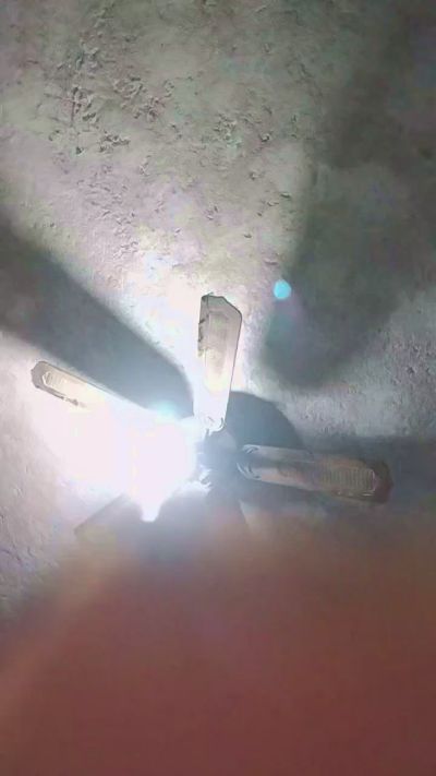 ANGELS1995 live cam on Cam4