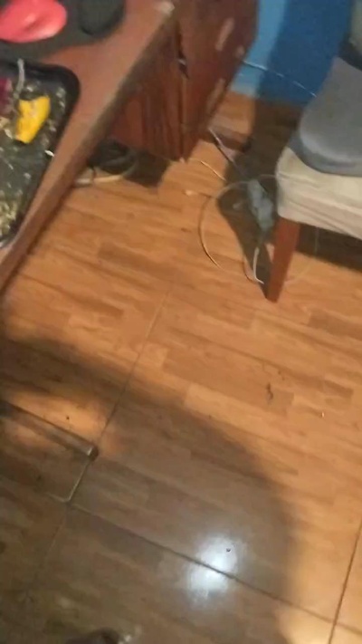 AR3S3 live cam on Cam4
