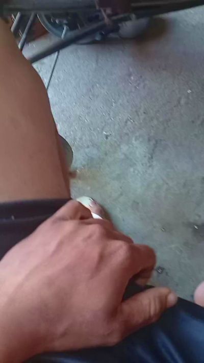 Abirolao live cam on Cam4