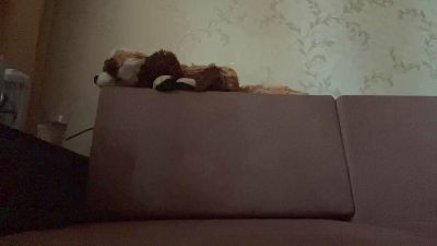 AdamMcclintock live cam on Cam4