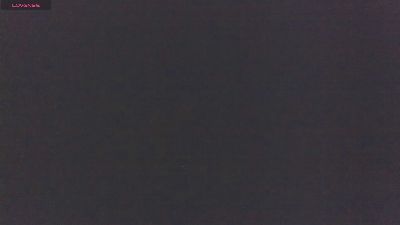 AdelleLennoxx live cam on Cam4