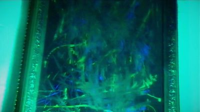 AlanDicksons Live Cam on Cam4