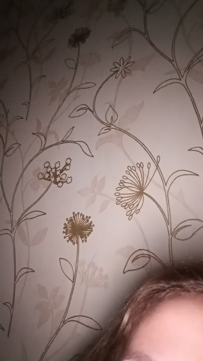 Webcam donna dal vivo da Bosnia ed Erzegovina con Aldica