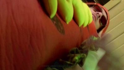 AlexMeadows live cam on Cam4