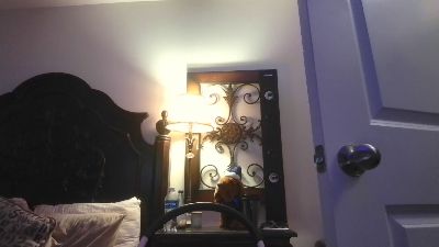 Alexander_Lamb6 live cam on Cam4