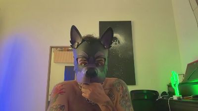 AlfyrPupX live cam on Cam4