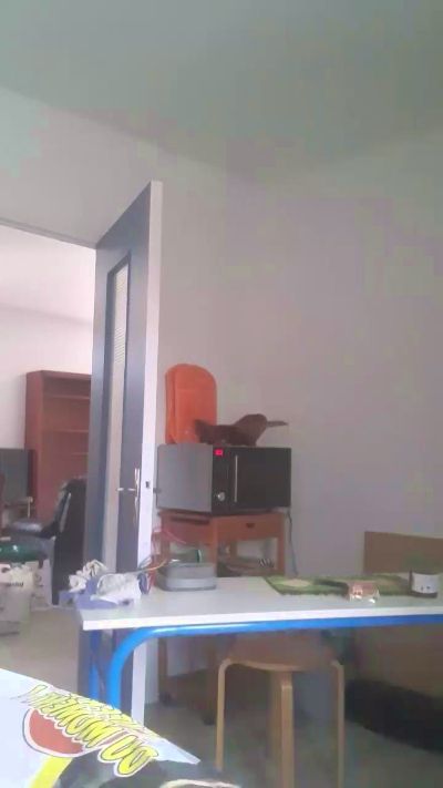 Allobroge63 live cam on Cam4