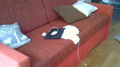 Alpsfun live cam on Cam4