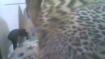 Ambra84 live cam on Cam4