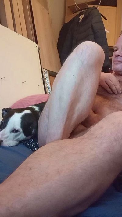Ambrobi49 live cam on Cam4