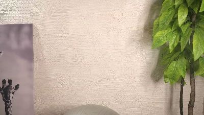 AmityDutch webcam