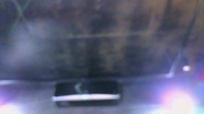 AmyLindsey live cam on Cam4