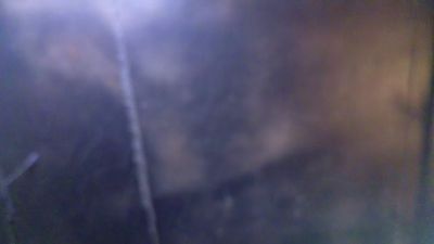 AmyLindsey live cam on Cam4