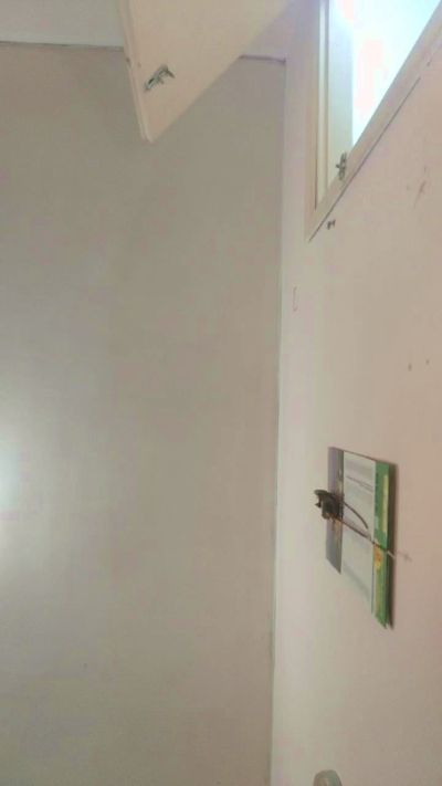 Ana1994 live cam and statistics on UnifiedCams