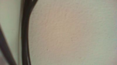 AnaScorpion live cam on Cam4