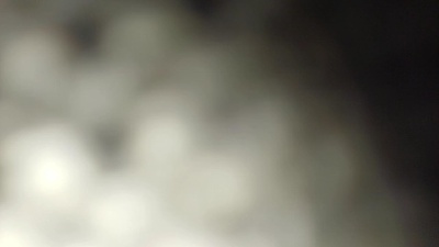 AnalPissFetish live cam on Cam4