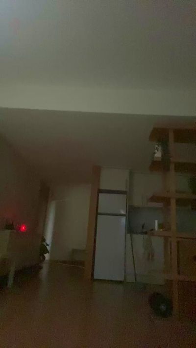 Andreazorra live cam on Cam4