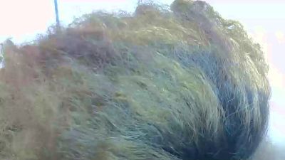 Anischala live cam on Cam4