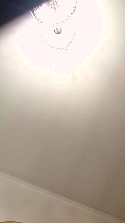 Annarellapika live cam on Cam4