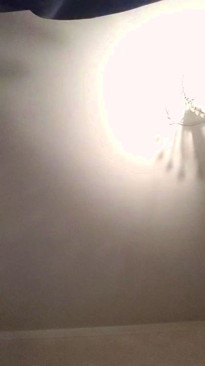 Annarellapika live cam on Cam4