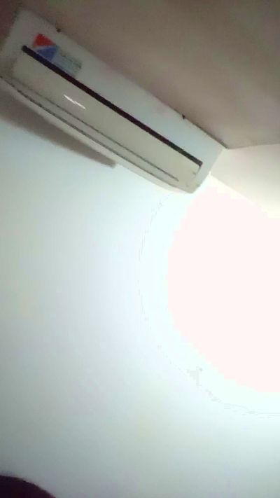 Antobella29 live cam on Cam4