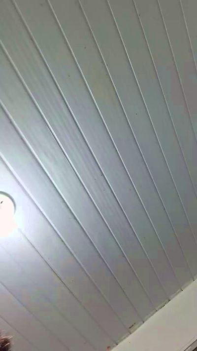 ApolloRJ_ live cam on Cam4
