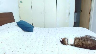 Arenaa live cam on Cam4
