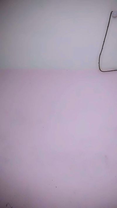 Armella2 live cam on Cam4